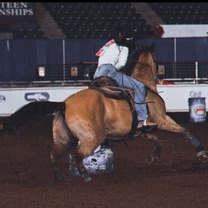 Meet your Posher, Abby